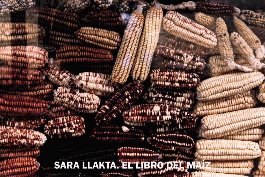 SARA LLAKTA. EL LIBRO DEL MAÍZ